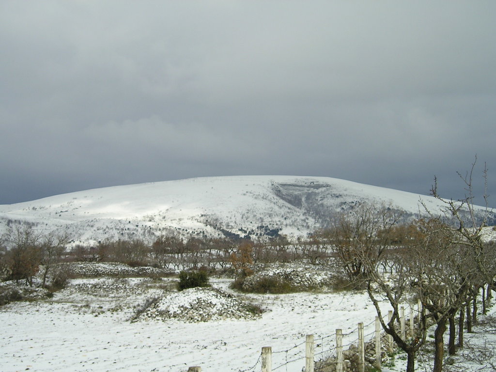 Monte Calvo, Apulo-Garganic Antiappennines, Italy
