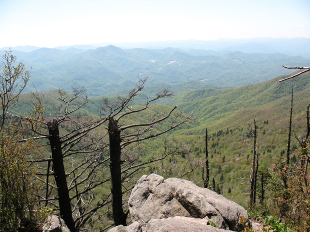 View from Waterrock Knob, Plott Balsam Mountains, North-Carolina