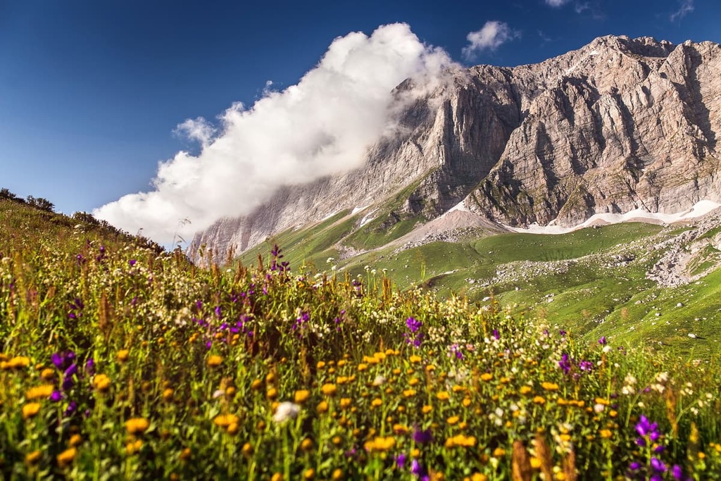 meadow, Adygea, Russia