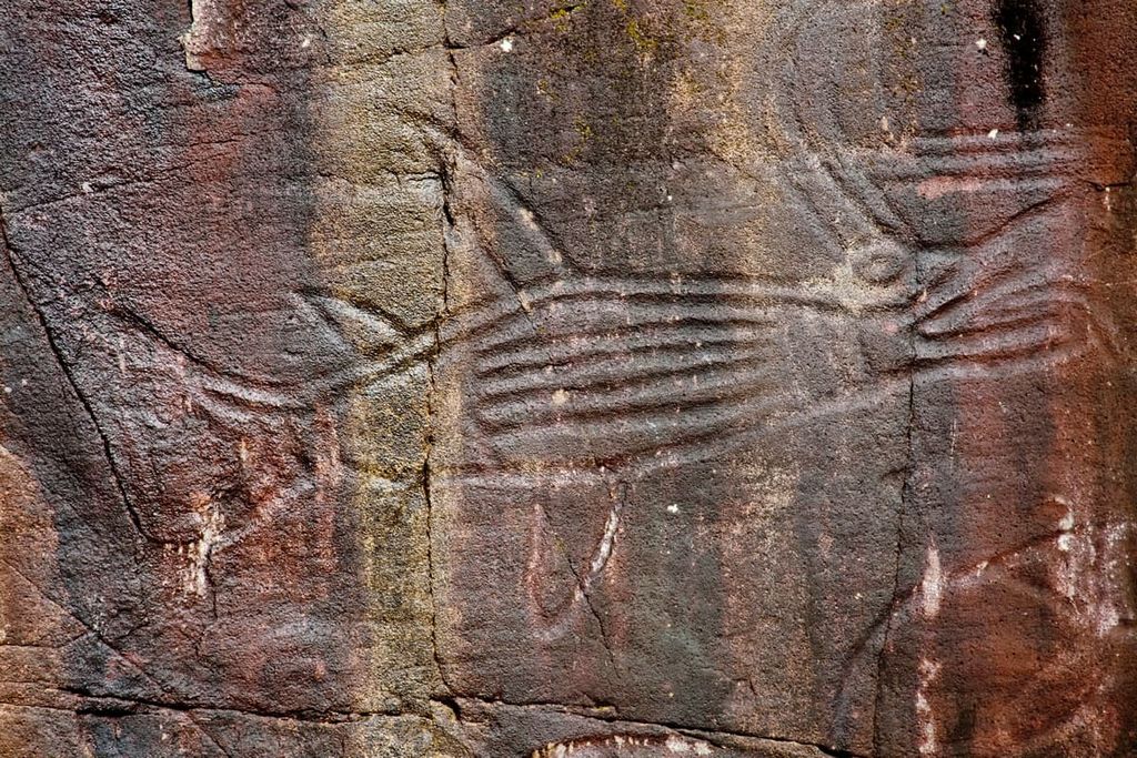 Petriglif, Alberni-Clayoquot Regional District, British Columbia