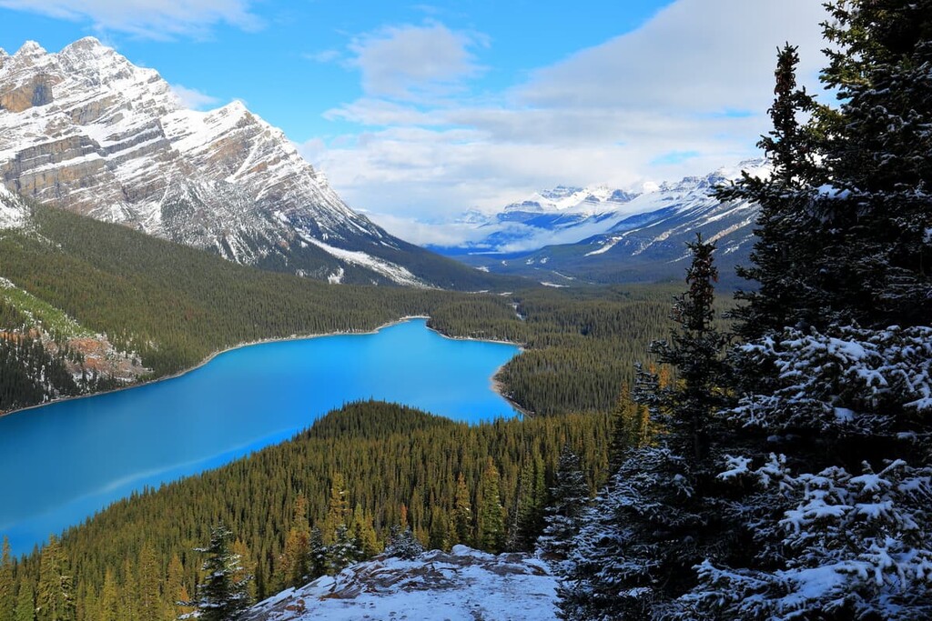 Peyto Lake in Banff National Park, Alberta, Canada