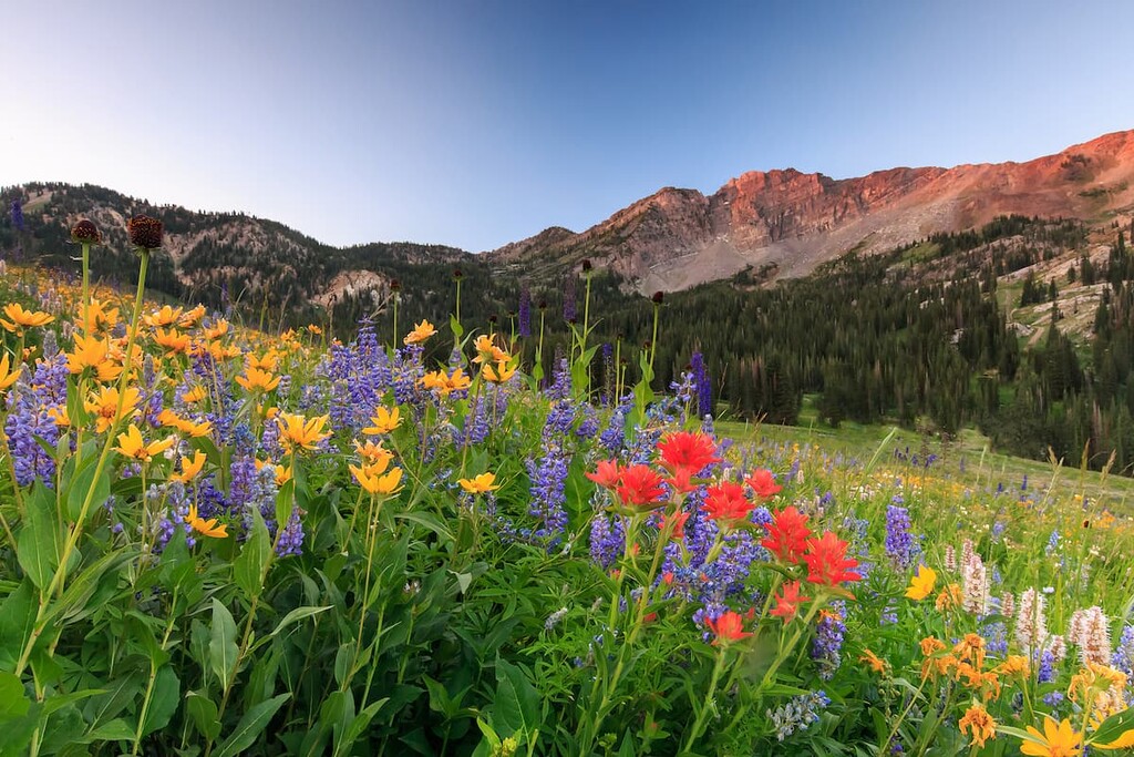 Albion Mountains, Idaho