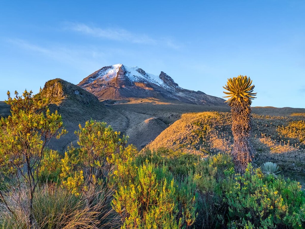Los Nevados National Natural Park, Colombia