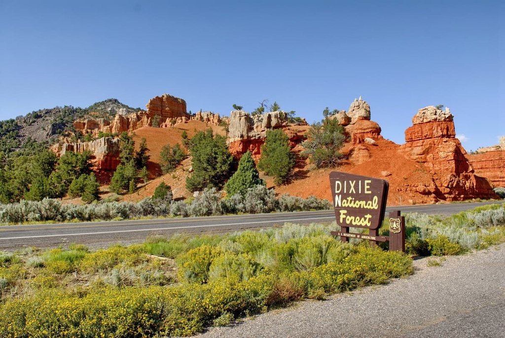 Dixie National Forest, Aquarius Plateau, Utah