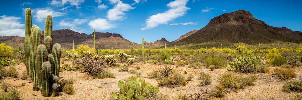 Desert, Arizona
