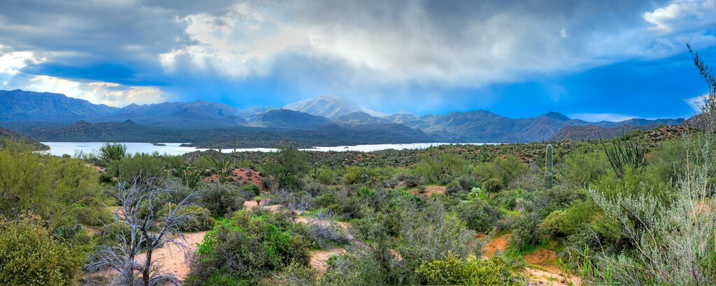 Sonoran Desert, Mazatzal Mountains, Arizona