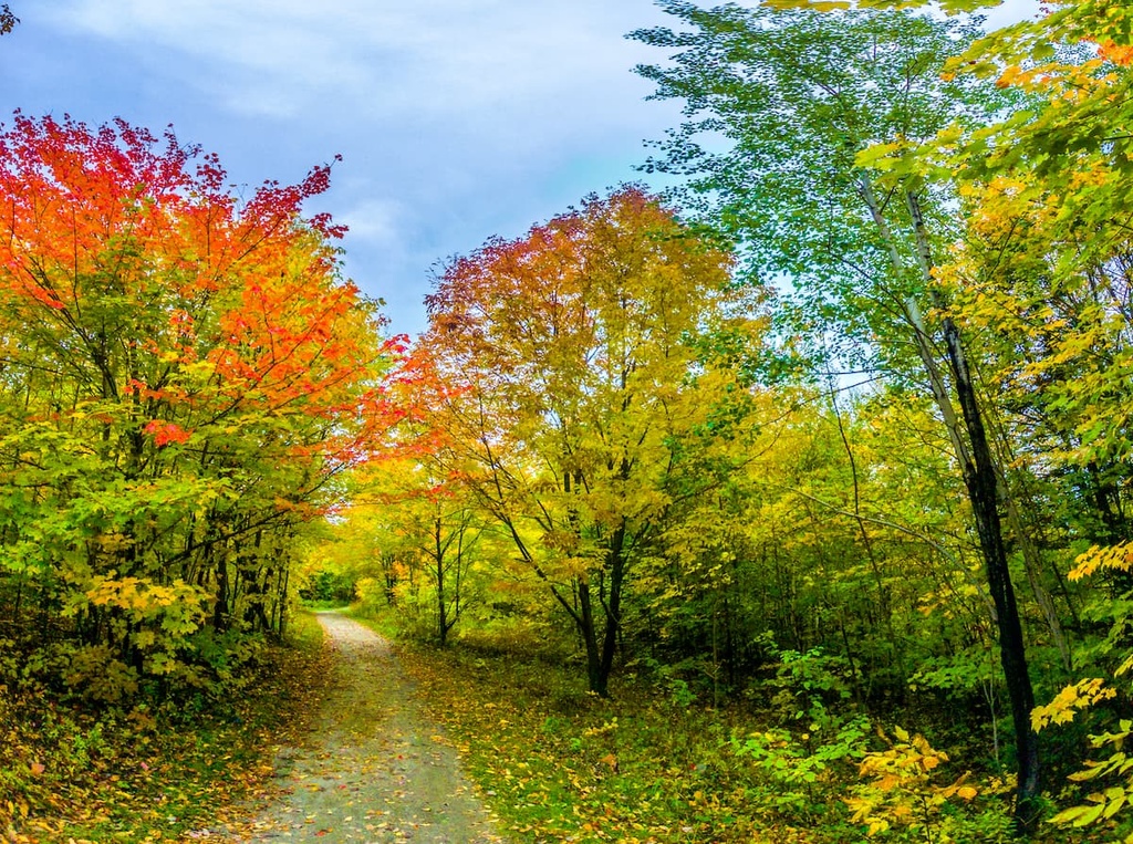 Arthabaska, Quebec
