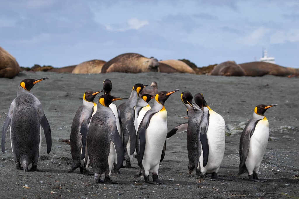 Australian Antarctic Territory, Australia