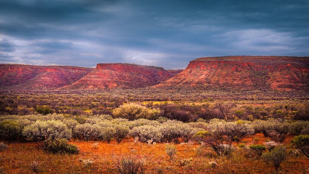 Watarrka National Park, Australia