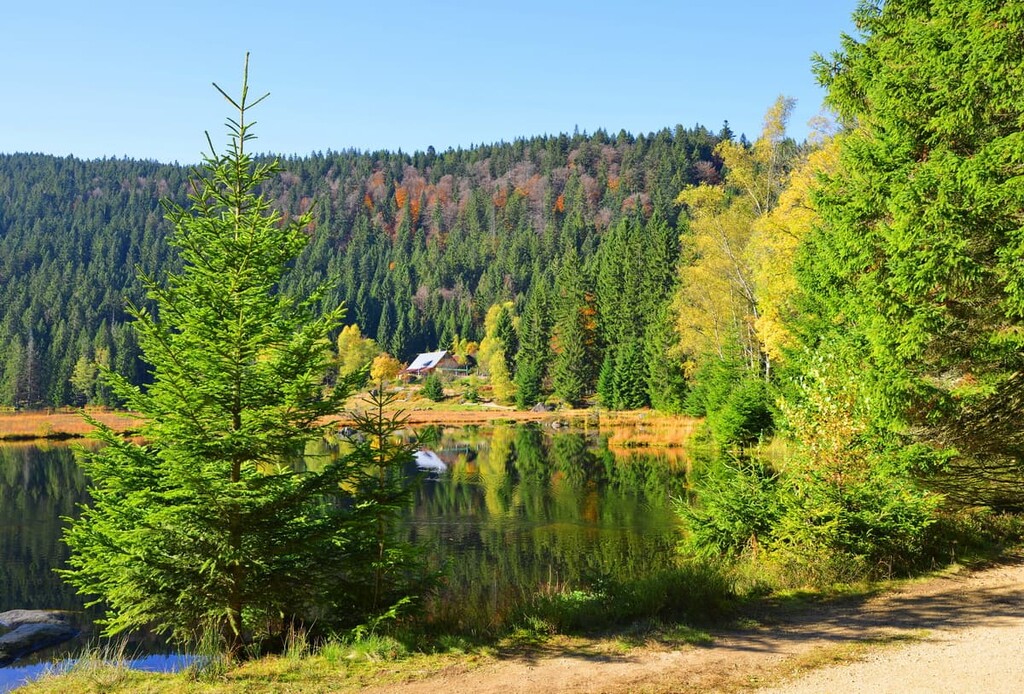 Bavarian Forest National Park, Bavaria, Germany