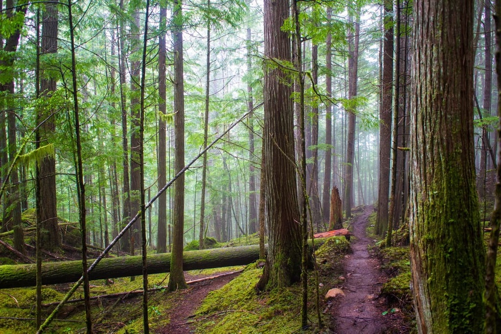 Beaufort Range, British Columbia