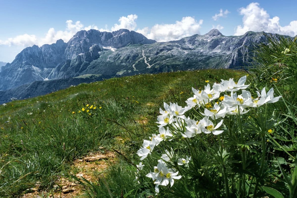 Ferrante, Bergamasque Alps, Italy