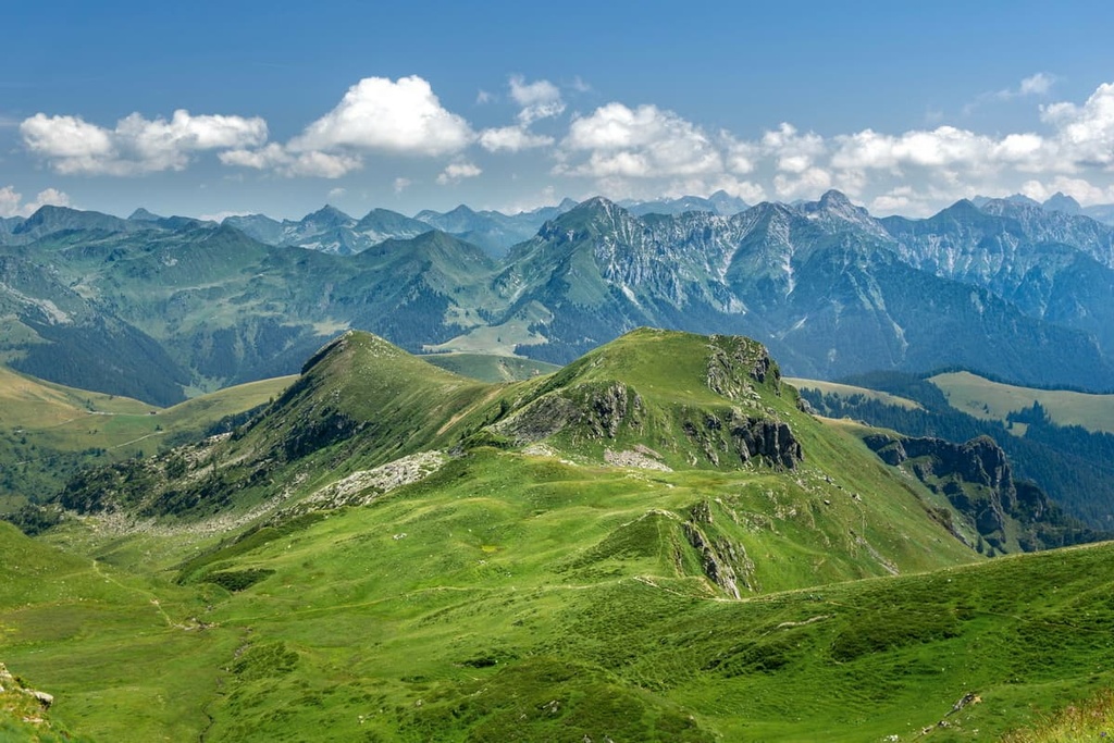 Flower Trails, Bergamasque Alps, Italy