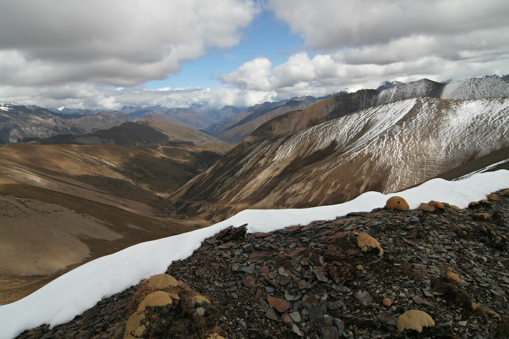 Jigme Dorji National Park, Bhutan