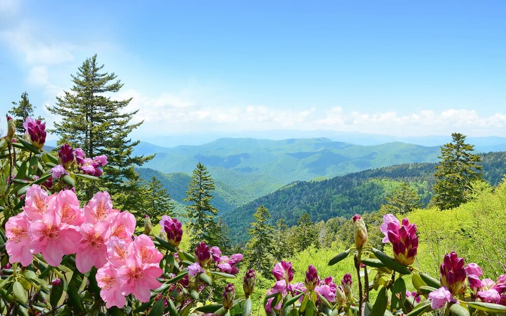 Blue Ridge Parkway, North-Carolina