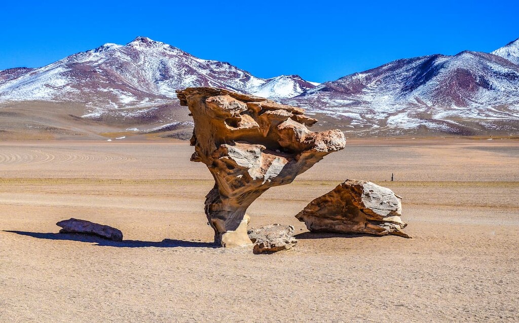 The Stone Tree, Eduardo Avaroa Andean Fauna National Reserve, Bolivia