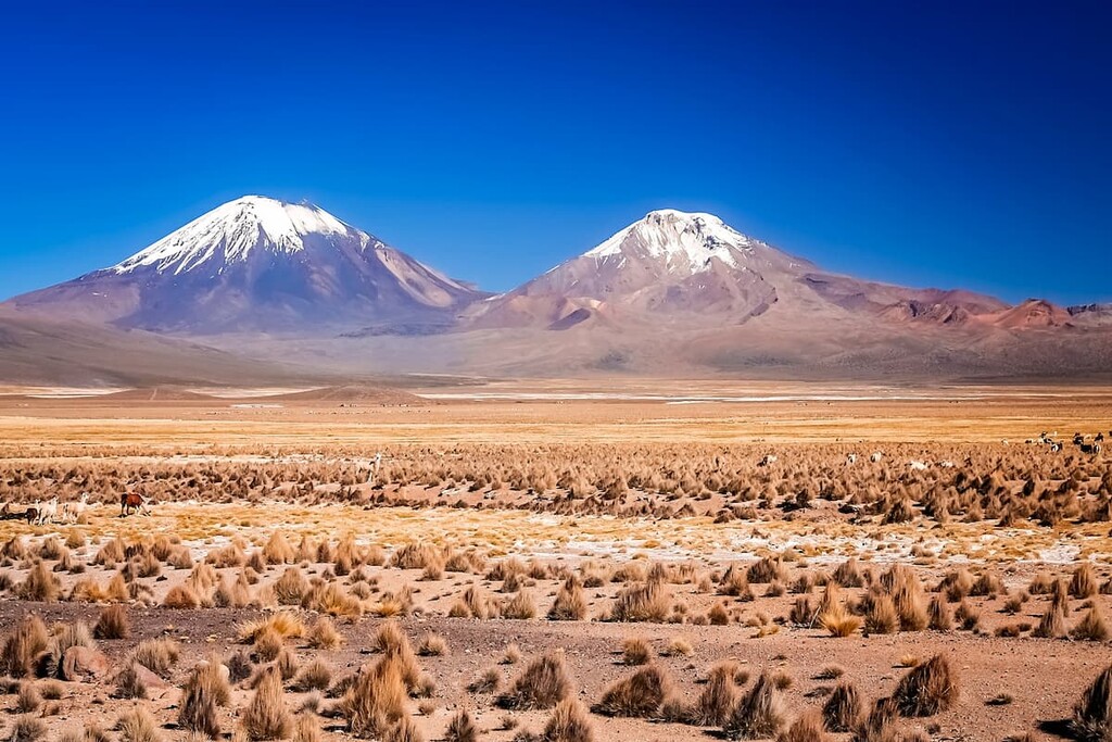 Nevado Sajama and Parinacota volcanoes, Sajama National Park, Bolivia