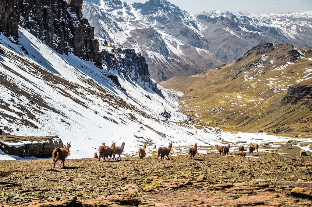 Tunari National Park, Bolivia