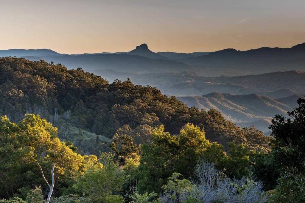 Border Ranges National Park, Great Dividing Range, Australia