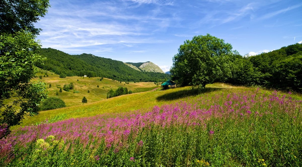  Bosnia and Herzegovina