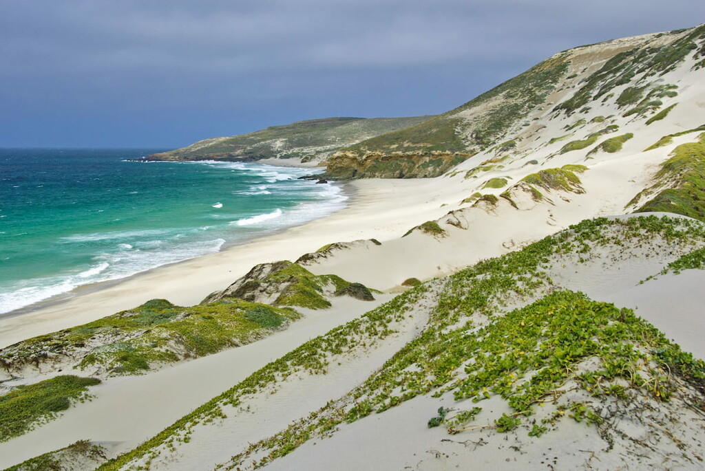 Beach on San Miguel Island, Channel Island National Park, California