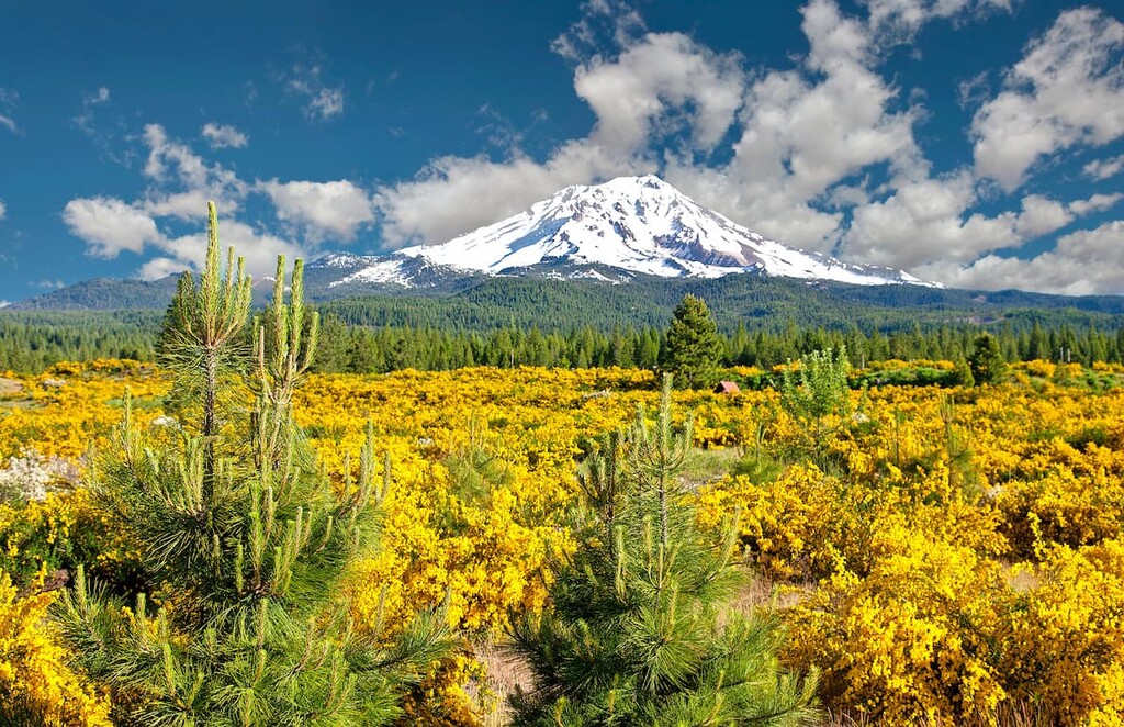 Mount Shasta, California