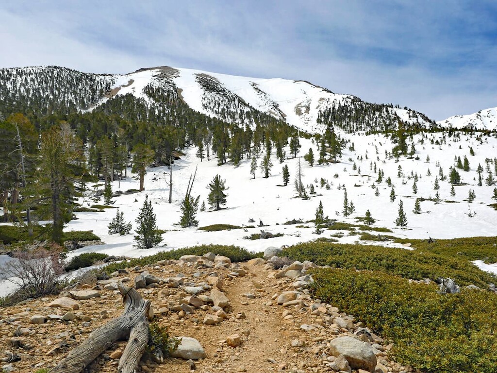 San Gorgonio, California