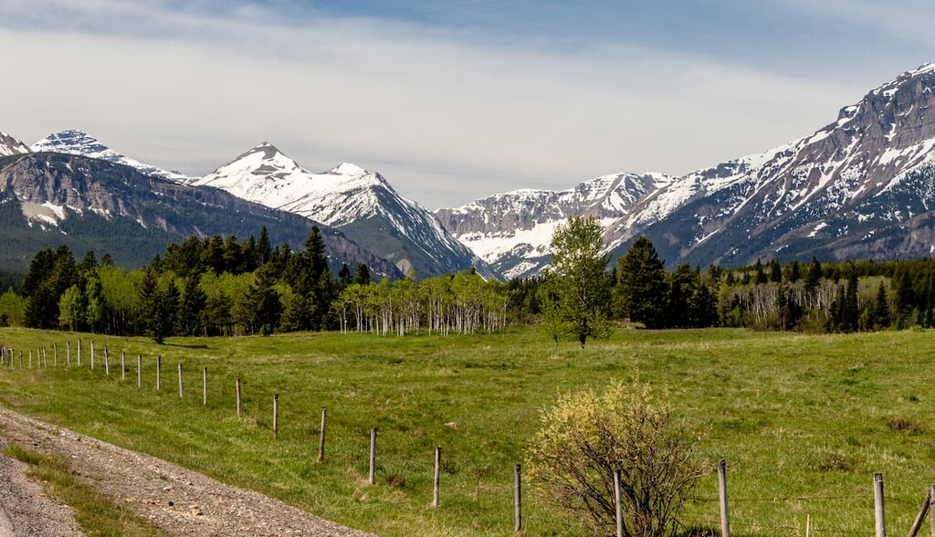 Castle Wildland Provincial Park, Municipal District of Pincher Creek, Alberta