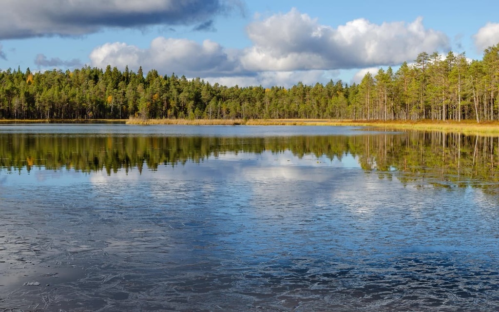 Pyhä-Häkki National Park, Central Finland