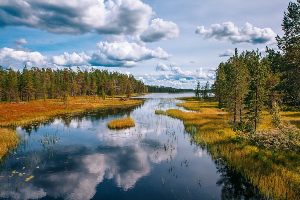 Salamajärvi National Park, Central Finland