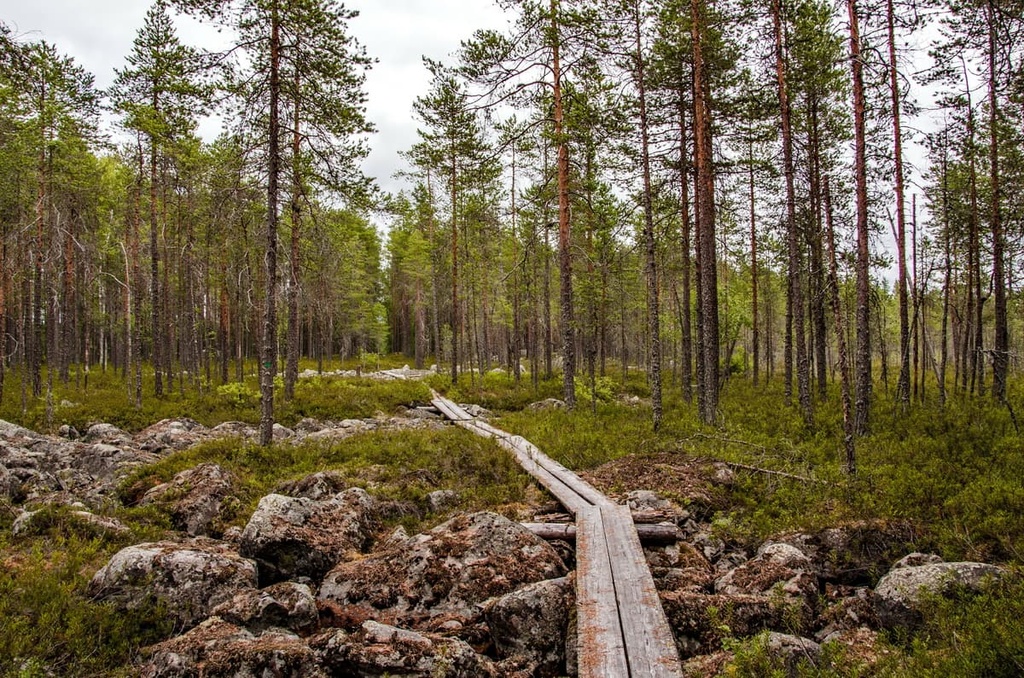 Salamajärvi National Park, Central Finland