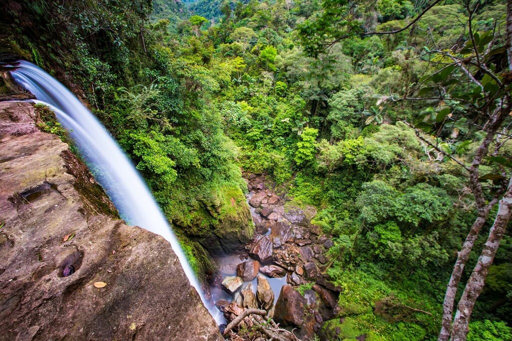 Fin Del Mundo, Amazon in Colombia