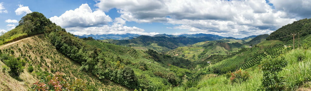 Cauca Valley, in Colombia
