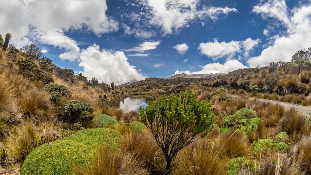Los Nevados National Nature Park, Colombia