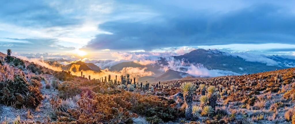 Los Nevados National Park, Colombia