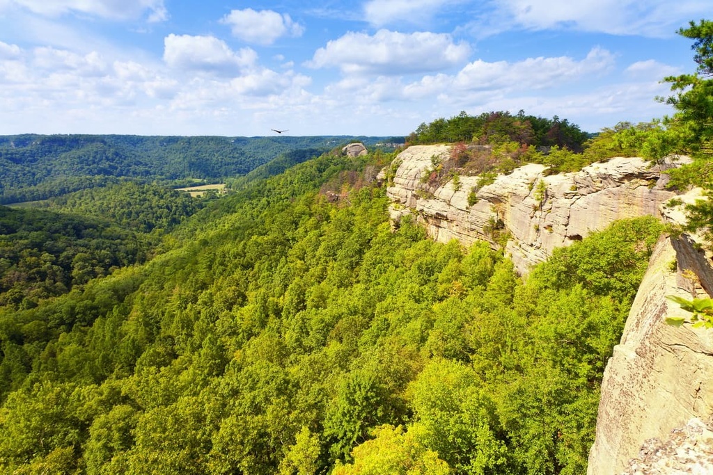 Cumberland Plateau, Kentucky