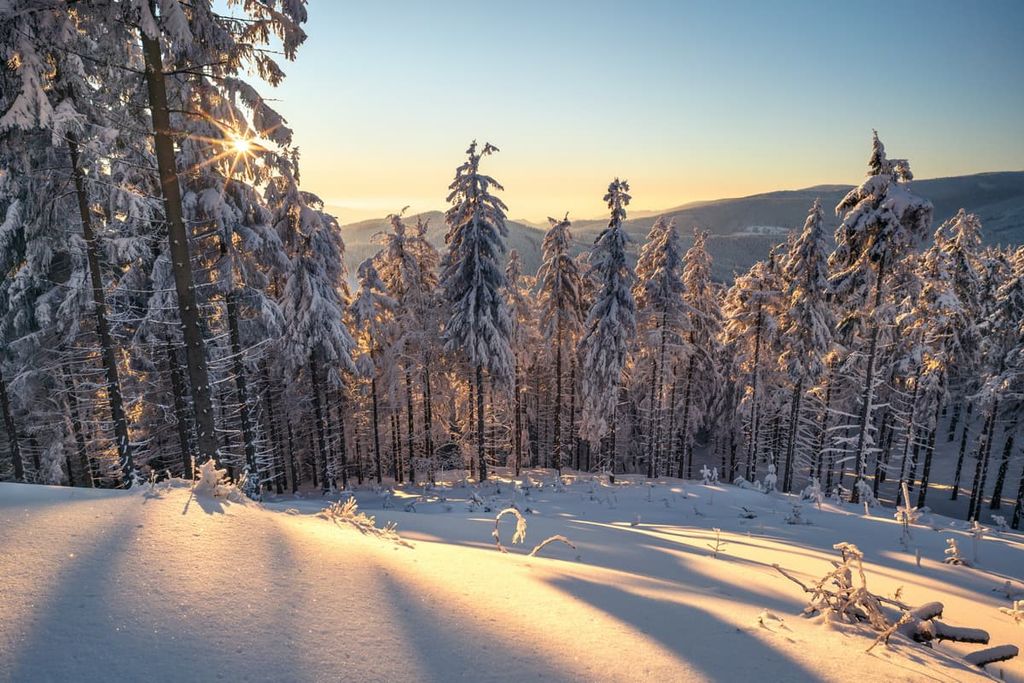 Carpathian Mountains, Czechia