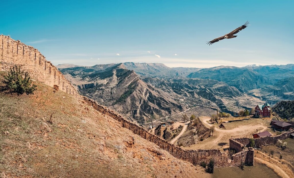 Eagles, Republic of Dagestan, Russian North Caucasus