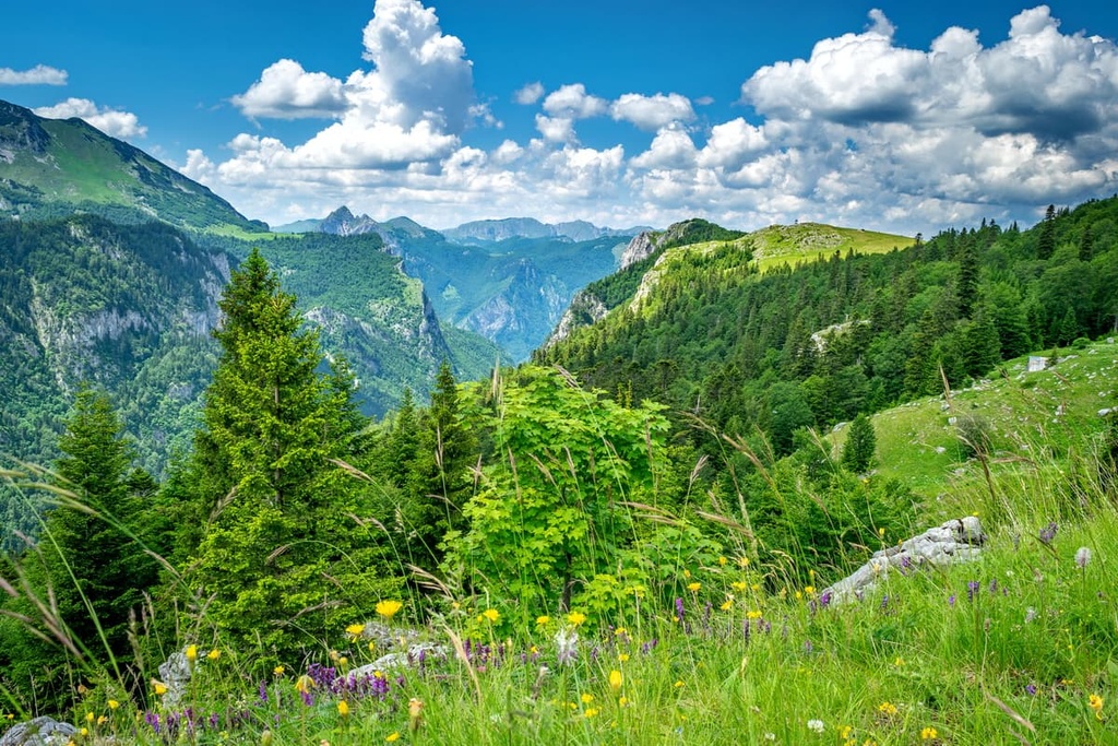 Sutjeska National Park, Dinaric Alps