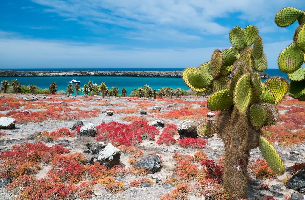 Galápagos National Park