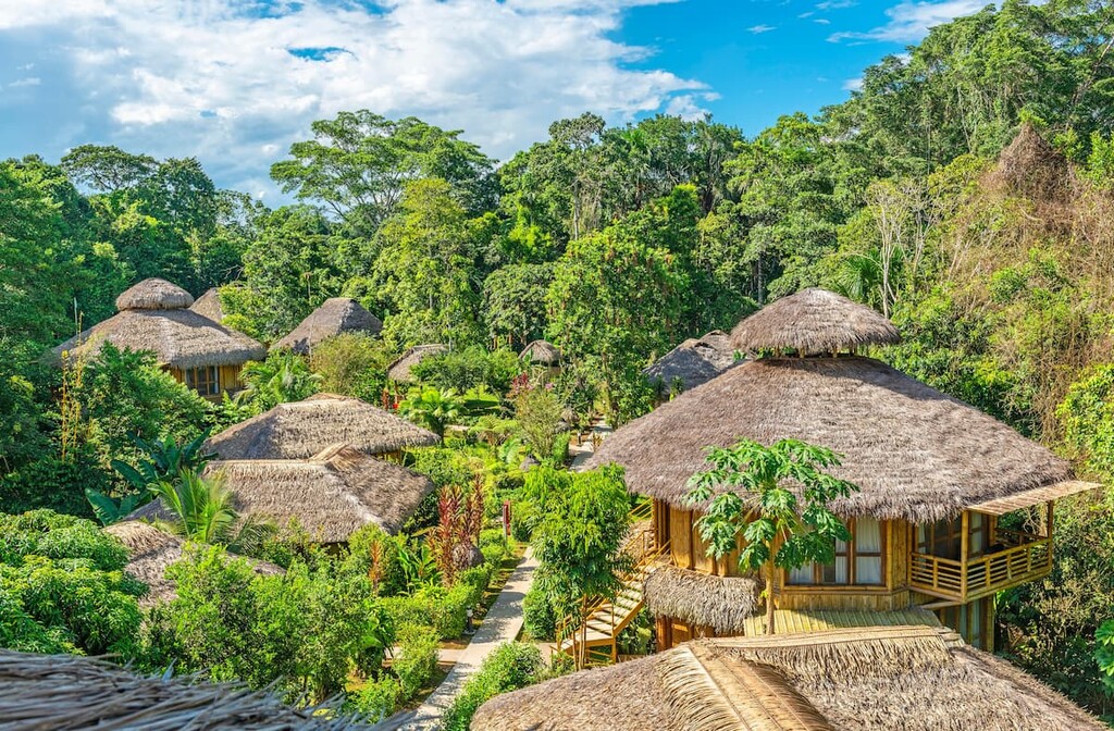 Yasuní National Park, Ecuador