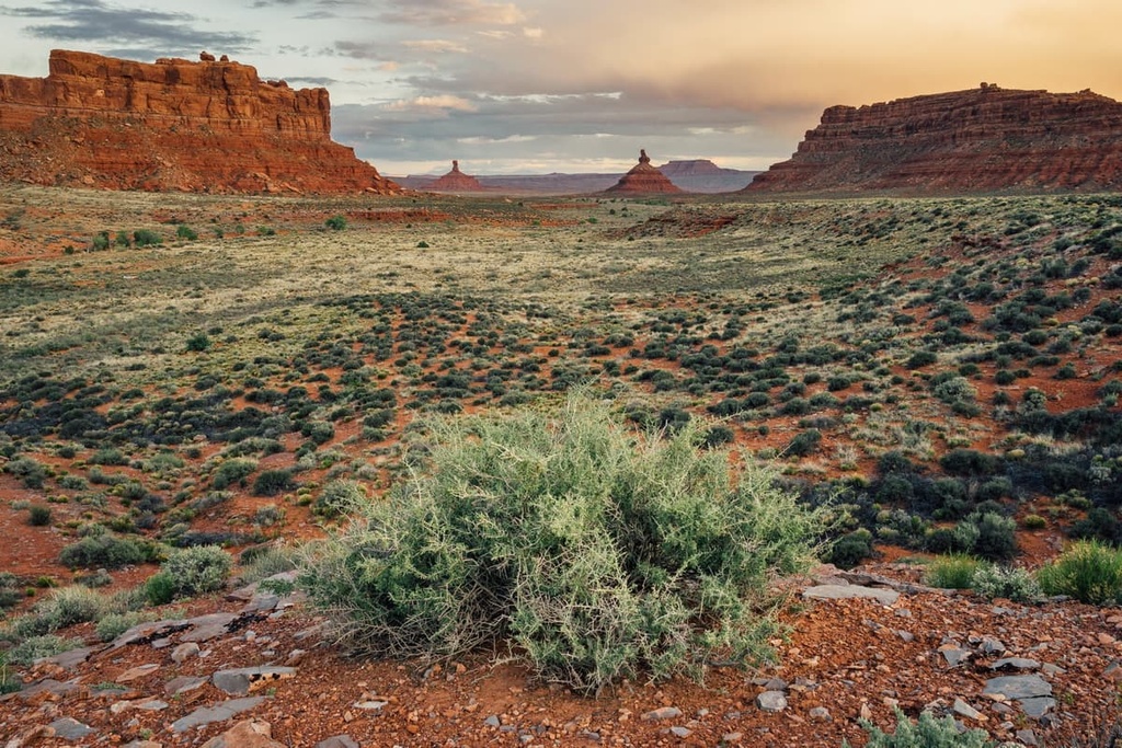 Bears Ears National Monument, Elk Ridge, Utah