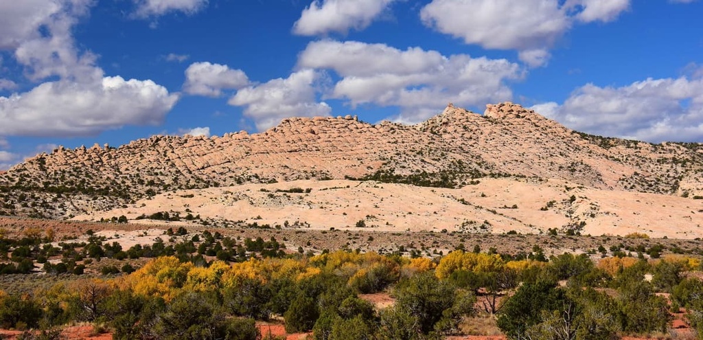 Bears Ears National Monument, Elk Ridge, Utah