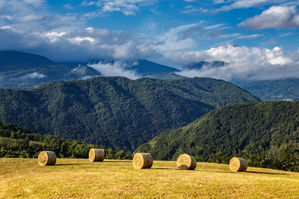 Tuscan-Emilian NP, Emilia-Romagna, Italy