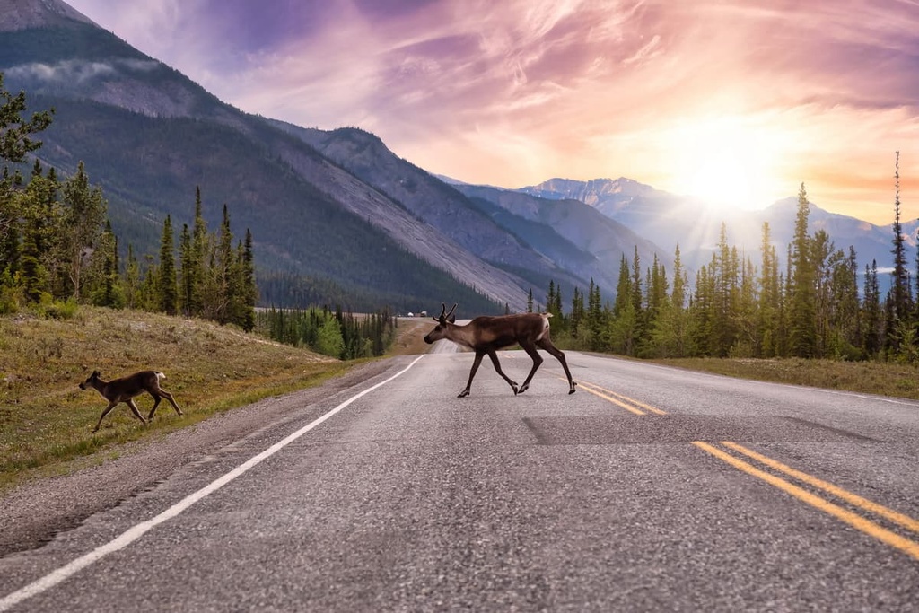  Far Northern Rockies, British Columbia