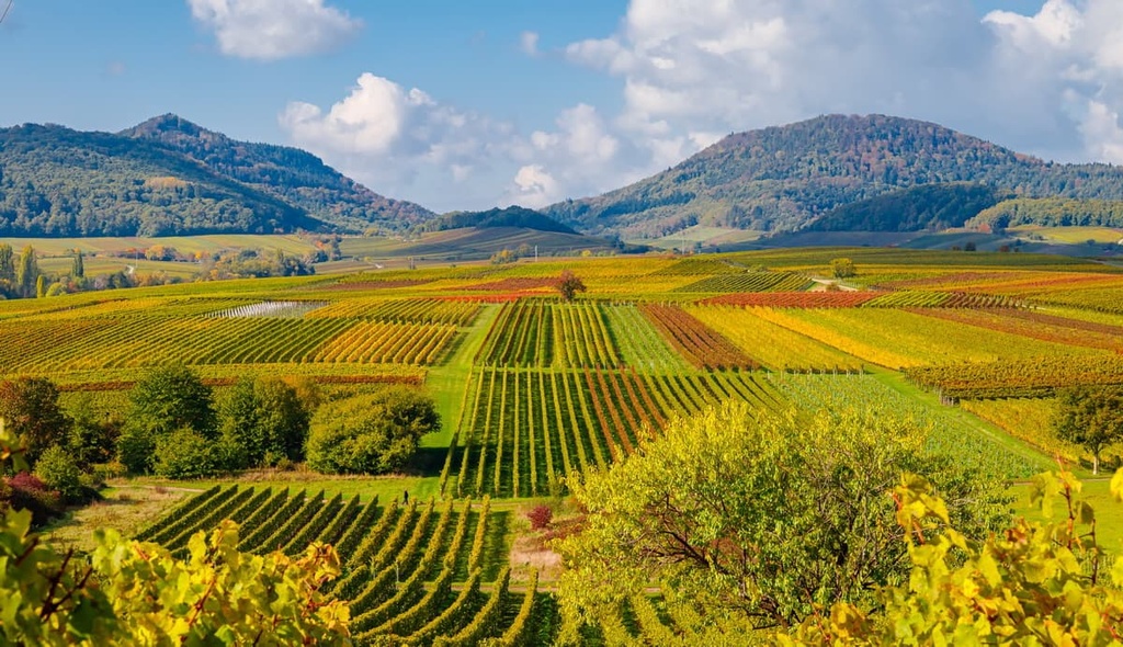 Biosphere Reserve Palatinate Forest, Germany