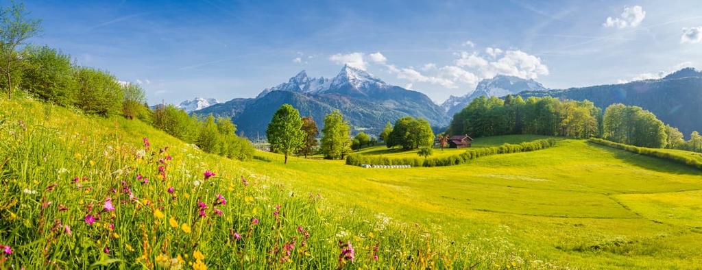 Nationalpark Berchtesgadener Land meadows, Germany