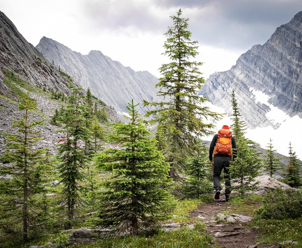 Old Goat Glacier Trail, Goat Range, Canada