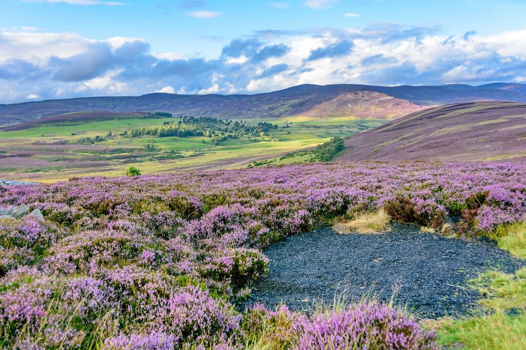 Grampian Mountains, Scotland