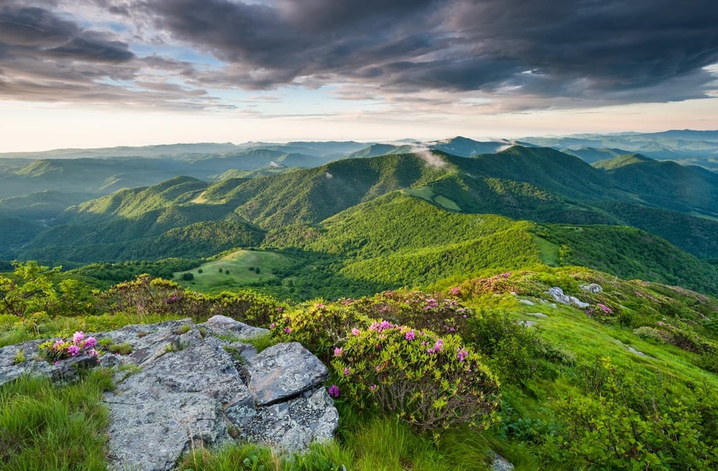 Pisgah National Forest, Great Balsam Mountains, North Carolina